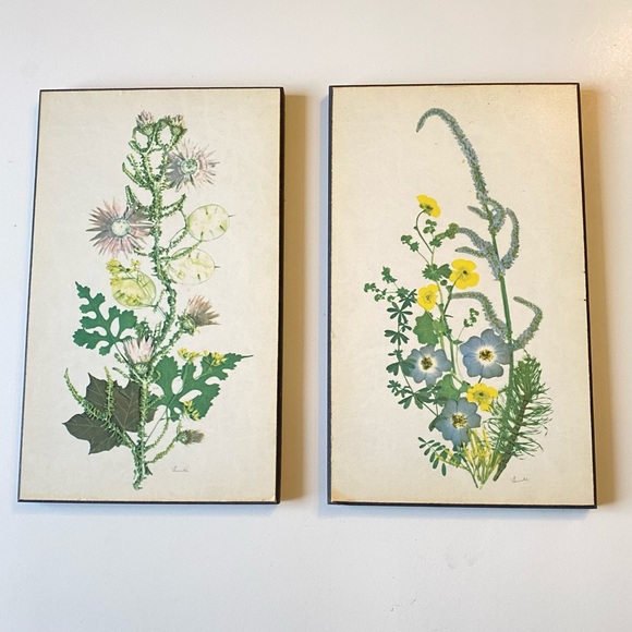 Vintage Other - Vintage Botanical Illustration wall hanging set